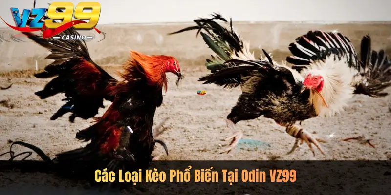 Các Loại Kèo Phổ Biến Tại Odin VZ99