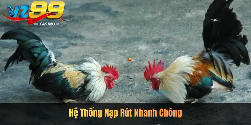Hệ Thống Nạp Rút Nhanh Chóng
