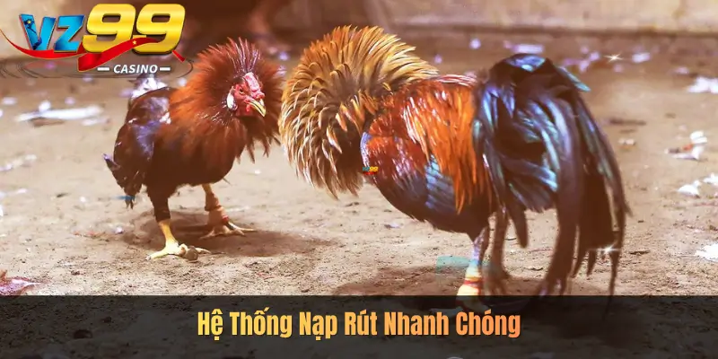 Hệ Thống Nạp Rút Nhanh Chóng