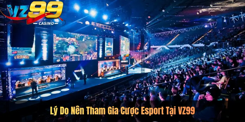 Lý Do Nên Tham Gia Cược Esport Tại VZ99
