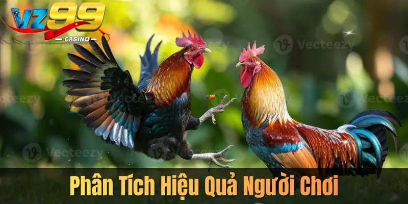 Phân Tích Hiệu Quả Người Chơi