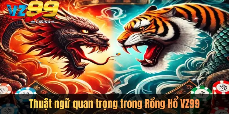Thuật ngữ quan trọng trong Rồng Hổ VZ99